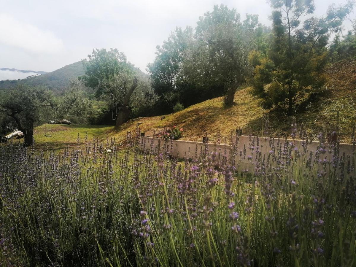 L'Opuntia Sul Lago Caccamo Exterior photo